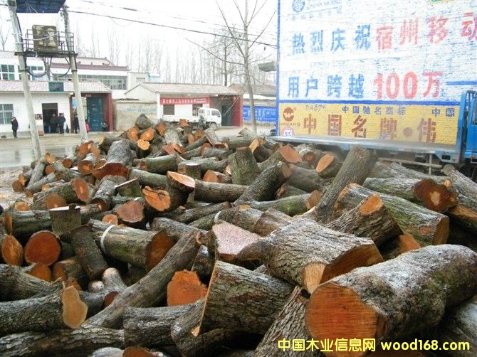 ��ľ����