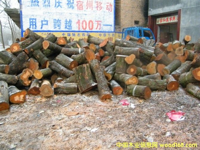 ��ľ���ĵ���ϸ����