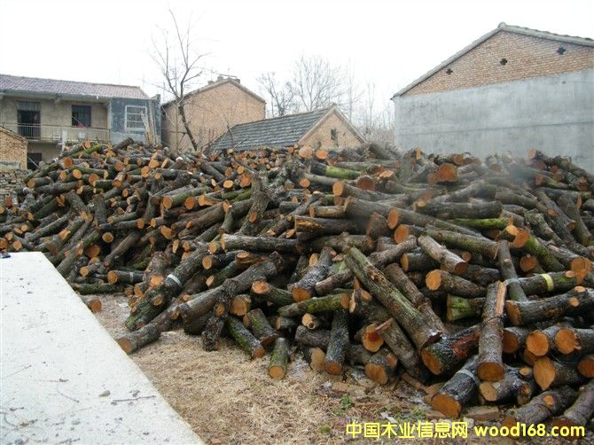 ��ľ���ĵ���ϸ����