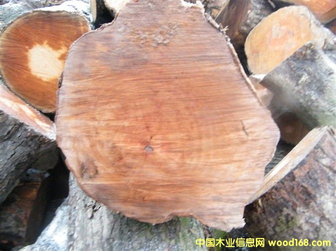 ��ľ���ĵ���ϸ����