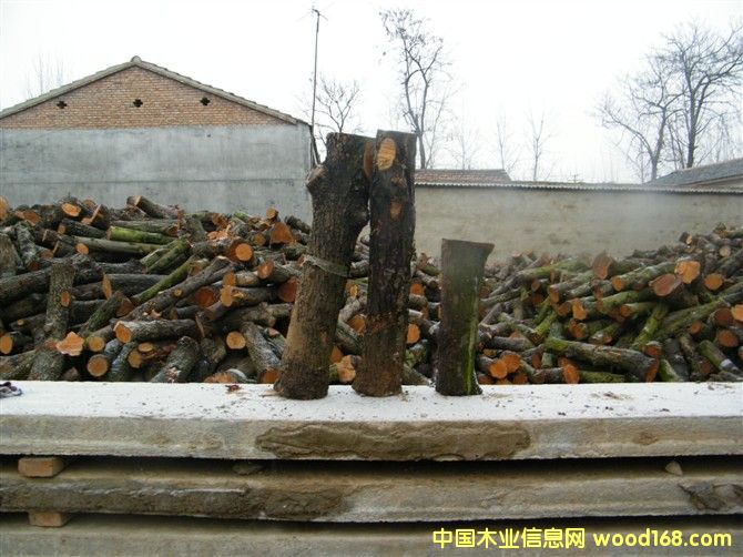 ��ľ���ĵ���ϸ����