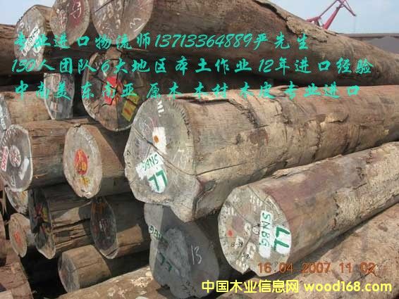 ��ν��ڹ���ľ��/ľ�Ľ��ڱ��ش���