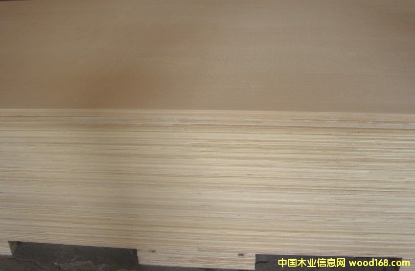 桦木胶合板的详细介绍