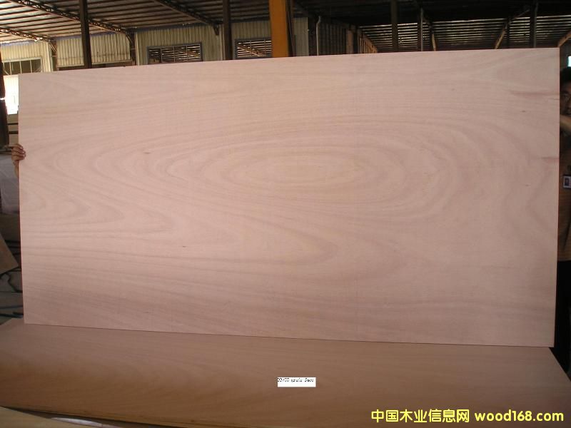 �¹������ϰ�