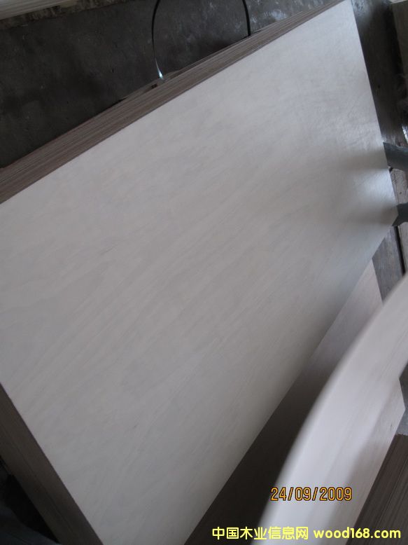 杨木胶合板的详细介绍