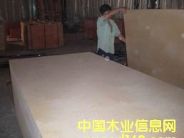 CARB级胶合板的详细介绍