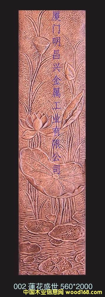 ������(002)