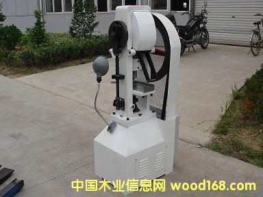 ������ѹƬ��