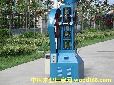 ʯī��ƷѹƬ��