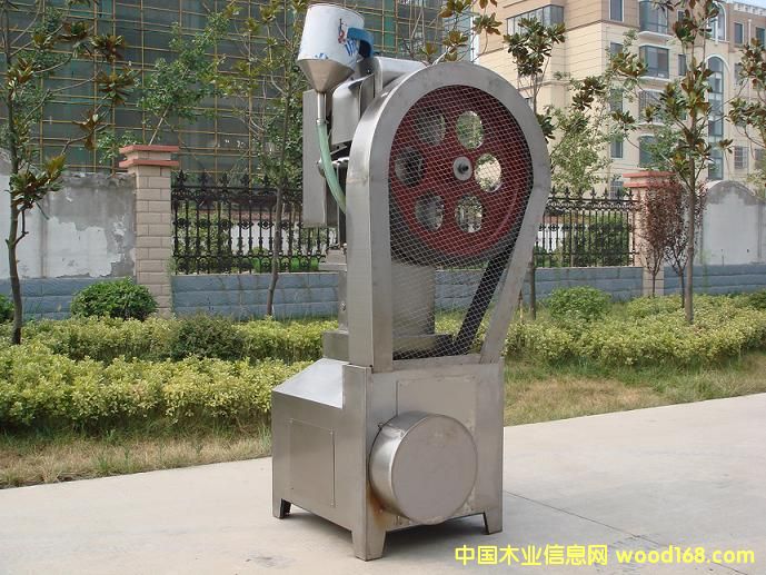 ������ѹƬ��