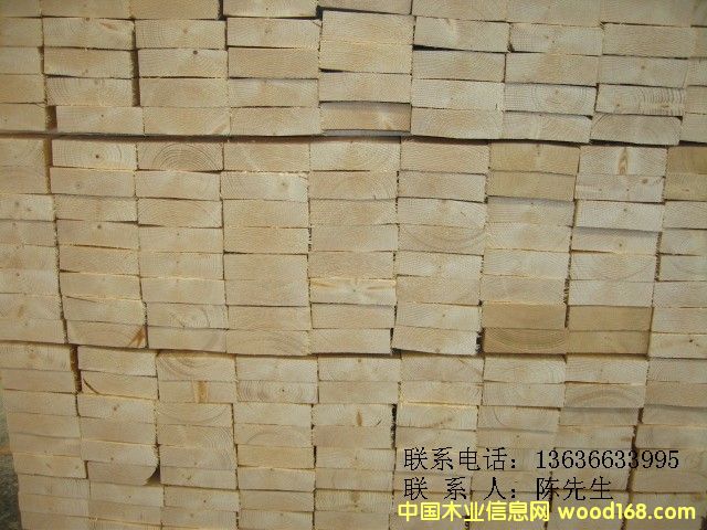 �¹���ɼ���