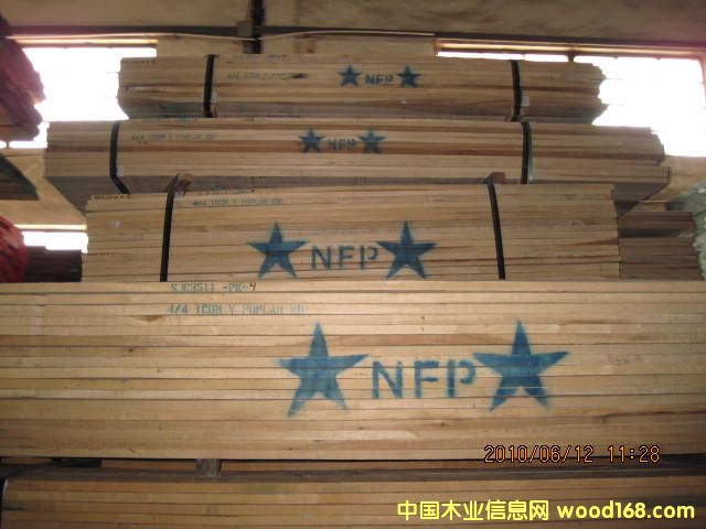 Ӧ  Yellow Poplar ľ 