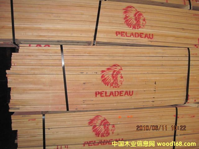 ӦӲľ Ӳ hard maple 