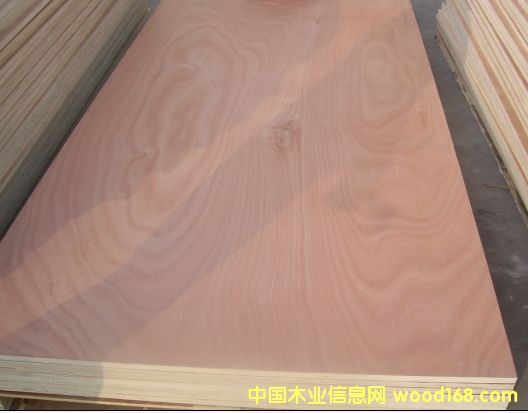 杉木细木工板杉木的详细介绍