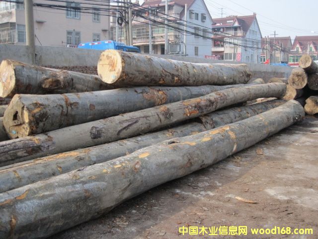 ����ŷ���ľ