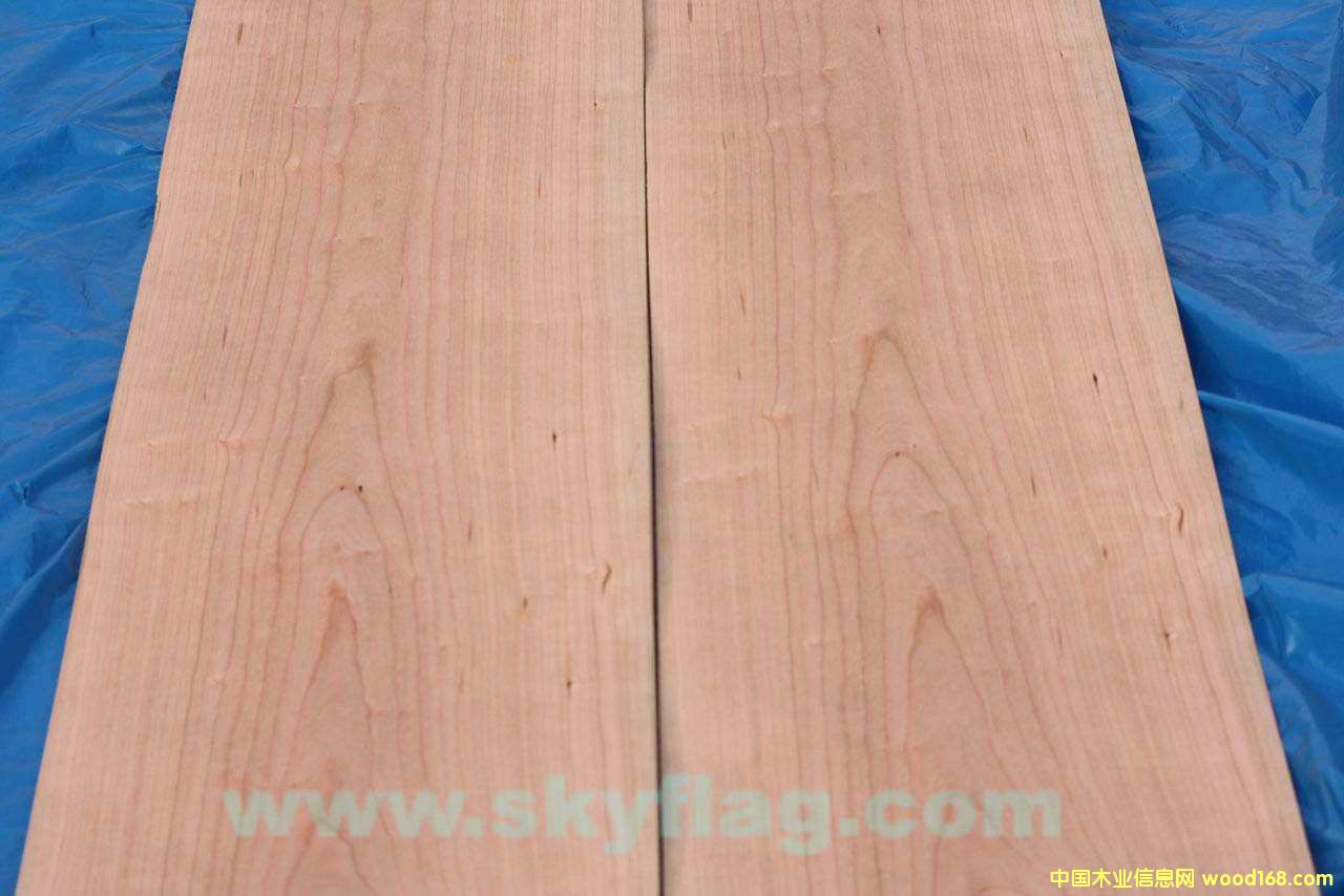 ����ľƤ-0.6ӣ��