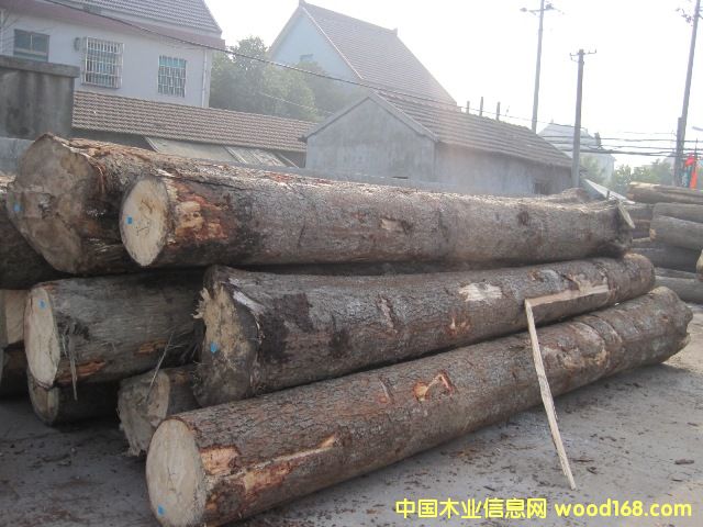 ŷ����ɼԭľ