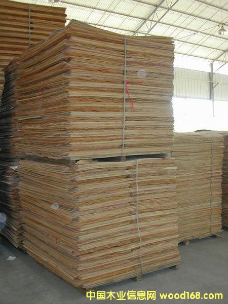 ��ľ����