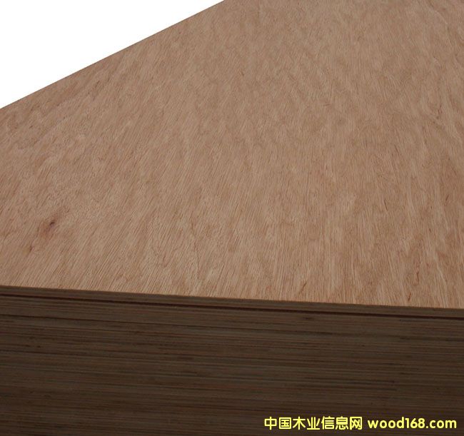 ���ǹ����ϰ�