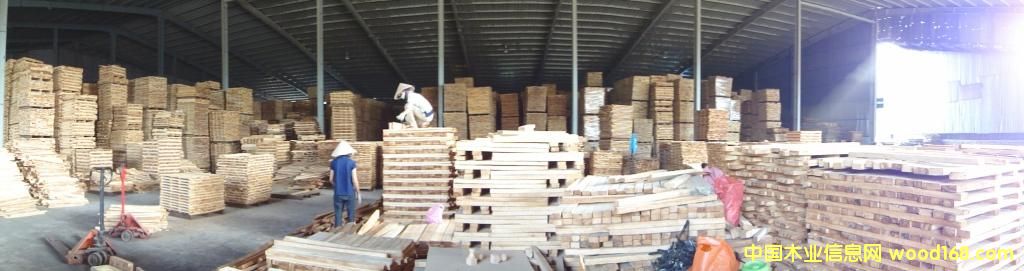 ������ľ����