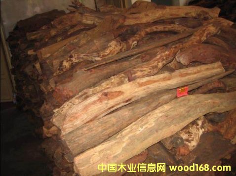 ����鿴Խ�ϻƻ���Ŵ�ͼƬ