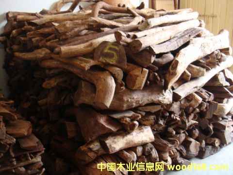 ����鿴Խ�ϻƻ���Ŵ�ͼƬ