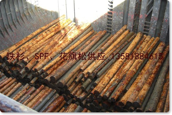 鿴ɼ hemlock ԭľ kŴͼƬ