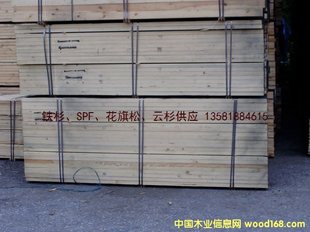 鿴ŷ  ɼ spruce ķŴͼƬ