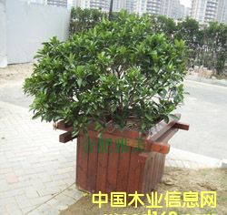 ��԰����