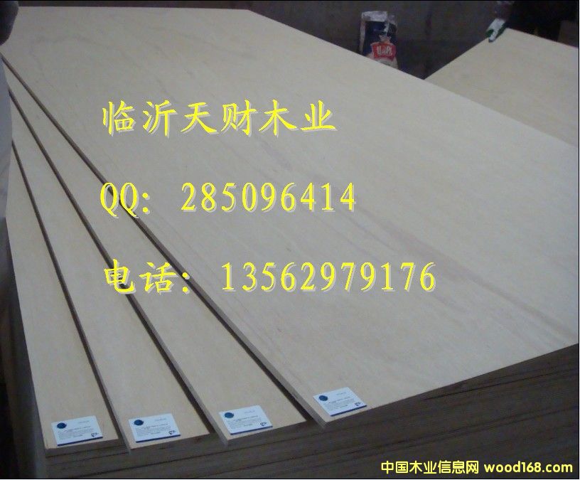 ���ϰ�����ר���������ľҵ13562979176