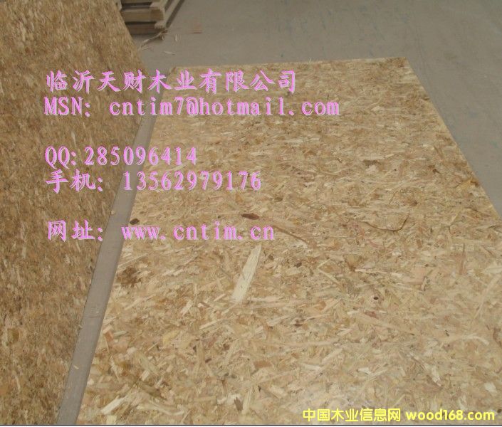 临沂天财木业OSB板厂 产品远销海外13562979176的详细介绍