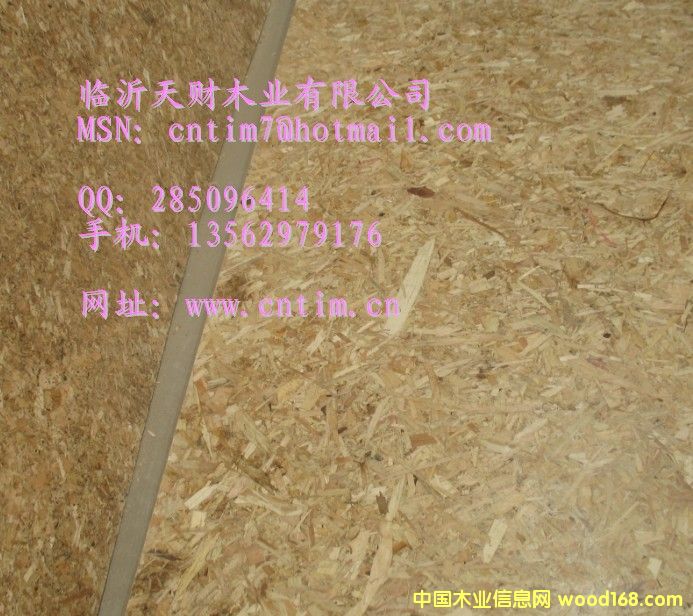 定向刨花板 联系临沂天财木业13562979176的详细介绍