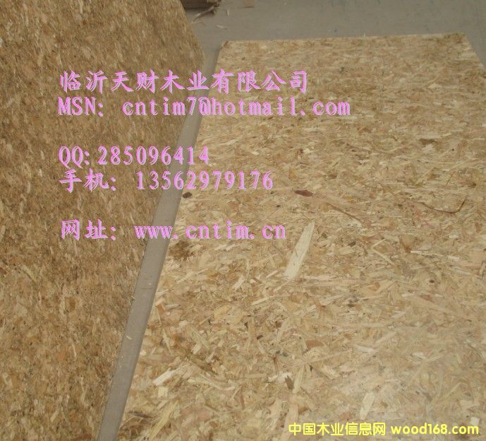 新型刨花板OSB 临沂天财木业13562979176的详细介绍
