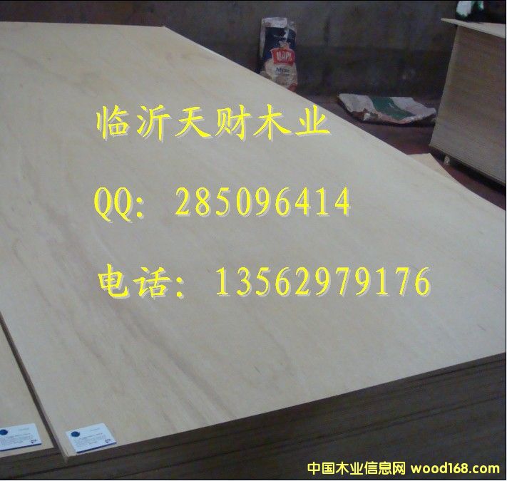 12mm LVB������ר�ý��ϰ�13562979176