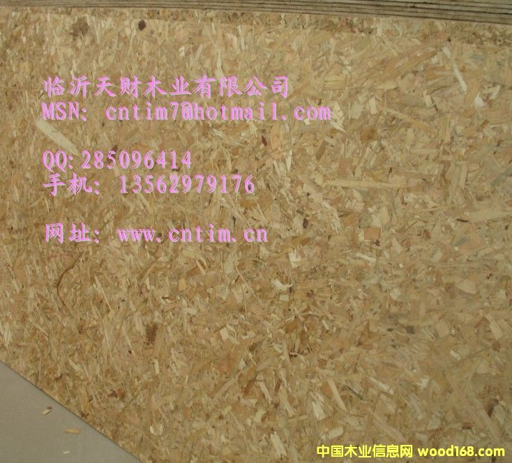OSB板 产品强度高 质量稳定13562979176的详细介绍