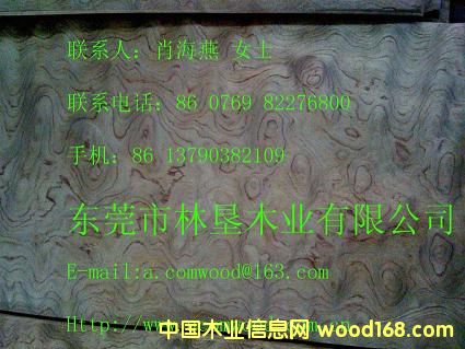 ���ƻ���