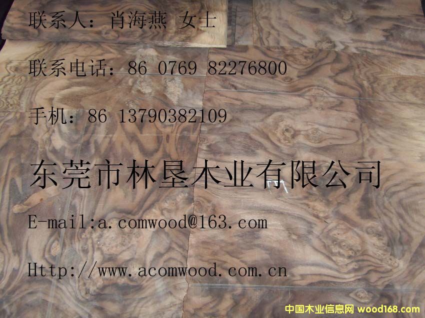 �ں�������