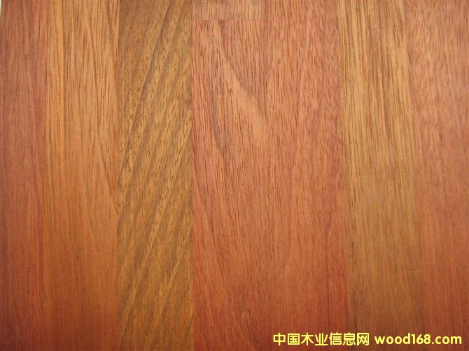 ���а�Jatoba