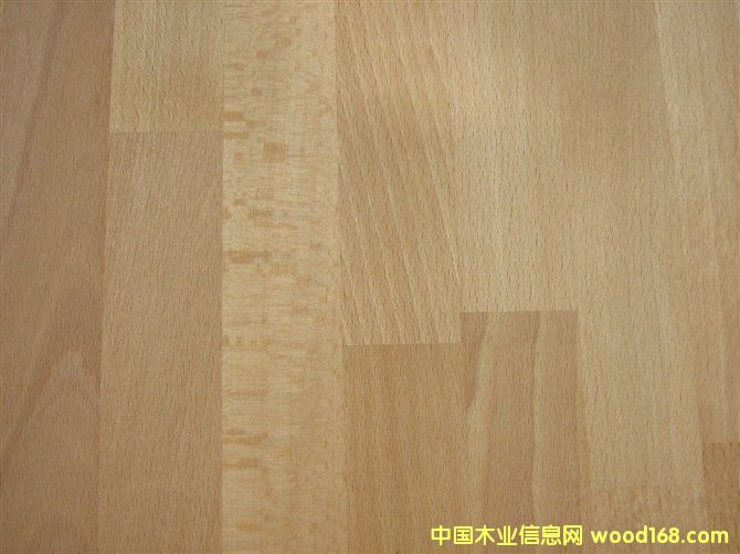 ľBBeech characterϸ