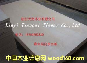 全桦木面皮胶合板的详细介绍