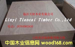 9mm山桂花面皮床板用胶合板的详细介绍