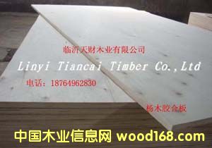 3mm三夹板的详细介绍