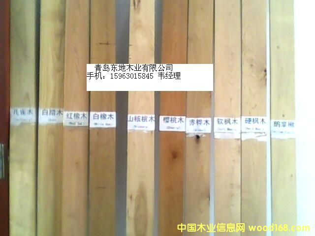 ����鿴����Ӳľ���ľ��ķŴ�ͼƬ