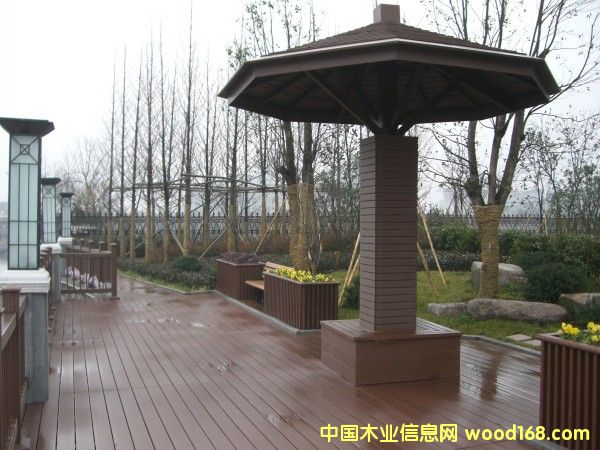 ��ľ��ľ�ܣ���ͤ����ͤ