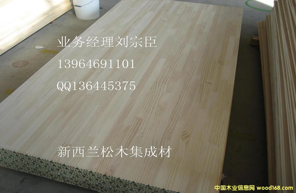 �����������ɼ��ɲ�