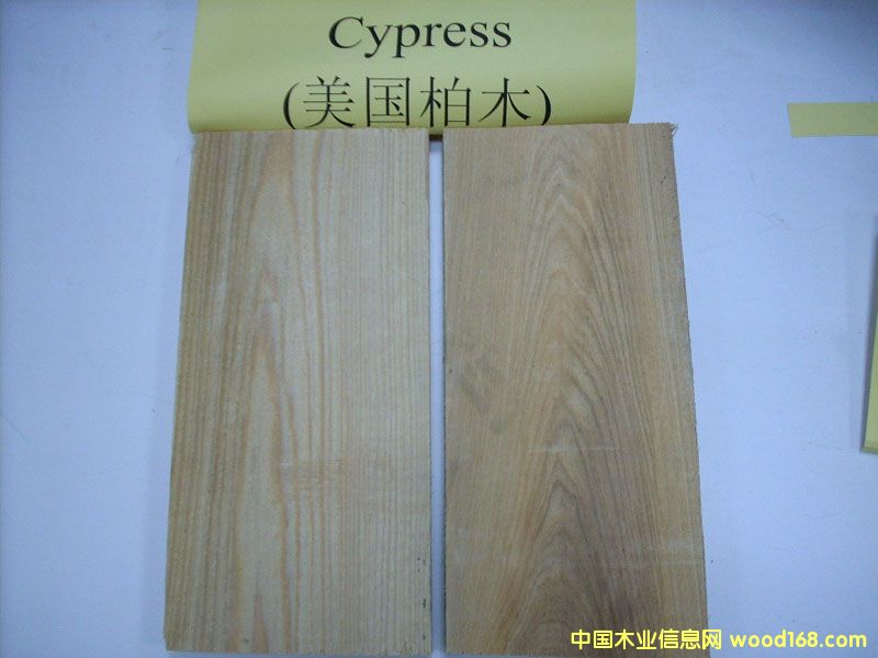 ľ(Ҳˮ)(Cypress)