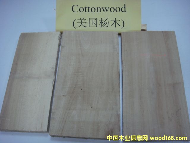 ����鿴�����ް���ľ(Cottonwood)��ϸ����