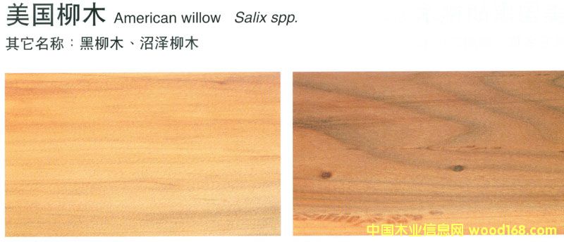����鿴FSC��ľ(�׳ƺ���ľ)��Willow����ϸ����