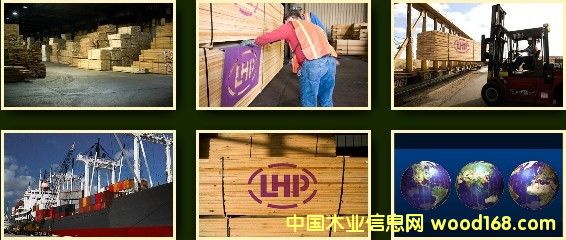����鿴FSCľ����ϸ����