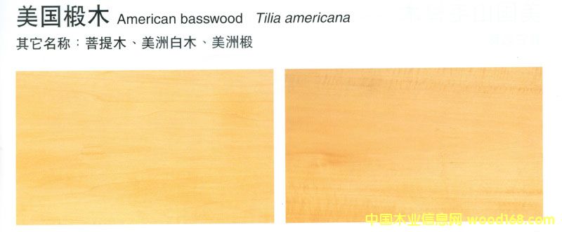 FSCľ(Basswood)